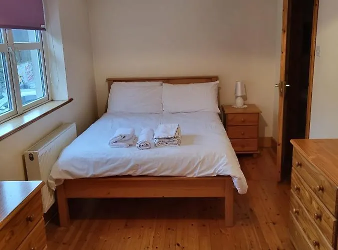 Townhouse 2 Barrow Lane Semesterbostad Carlow